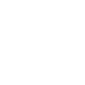 ODS 16: Paz, justicia e instituciones